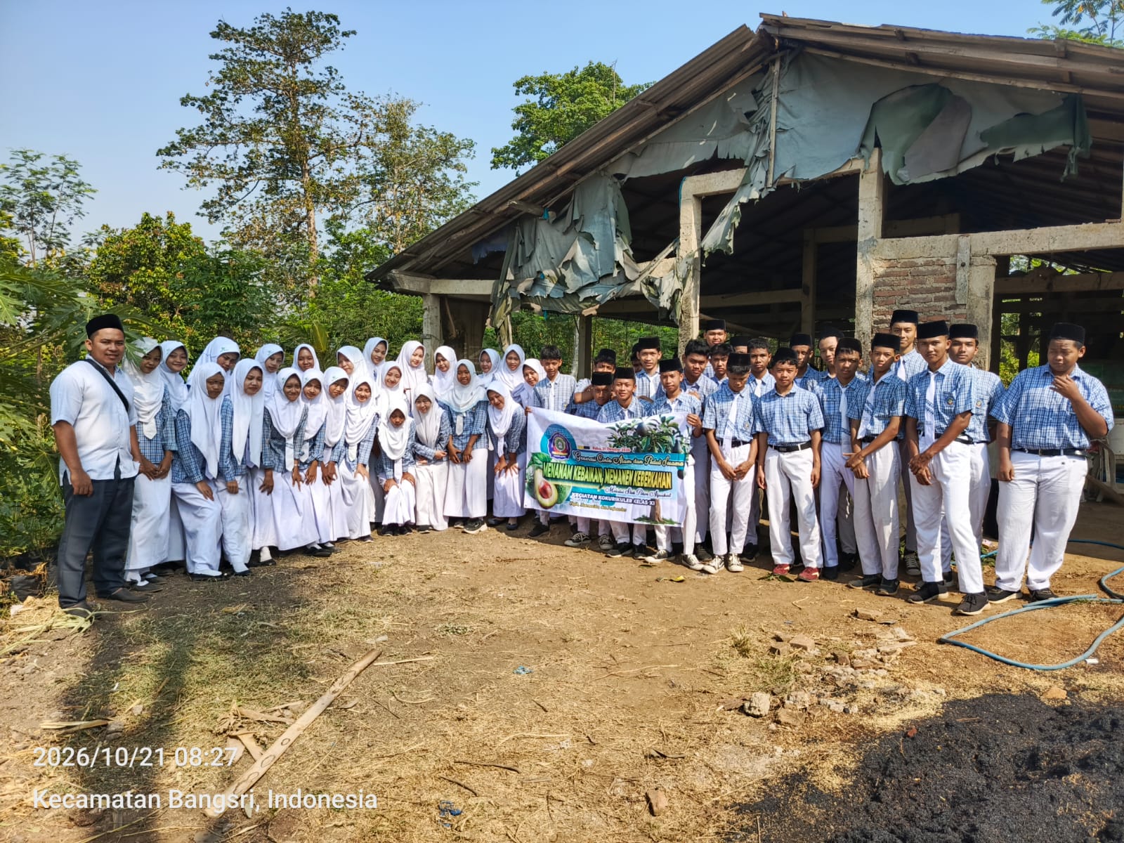 Sinergi Literasi dan Agroekologi, TBM Isykarima Ajak Siswa MA NU Tengguli Praktik Langsung Sambung Pucuk Alpukat